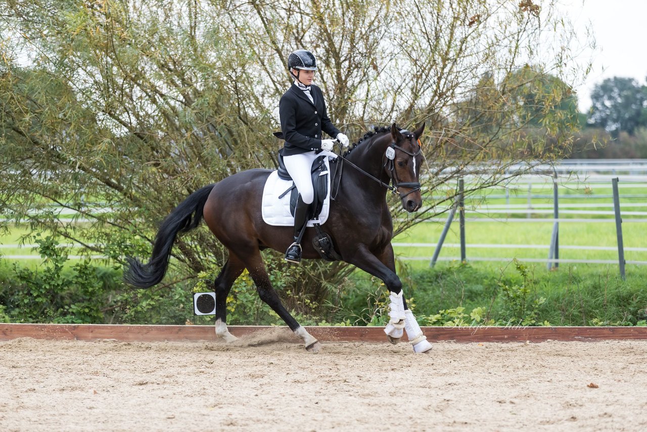 Bild 698 - Fuchshof Turnier